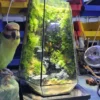 Bể Bán Cạn Cổ Trấn 01