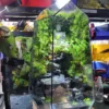 Bể Bán Cạn Cổ Trấn 02