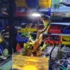Bể Bán Cạn Đảo Nhỏ 01