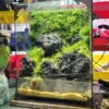 Bể Bán Cạn Núi Đá 01