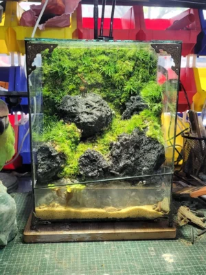 Bể Bán Cạn Núi Đá 01