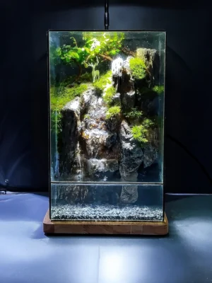 Bể Bán Cạn Thác Đá 01