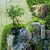 Bể Bán Cạn Thác Đá 02 2 Bể Bán Cạn Thác Đá 02