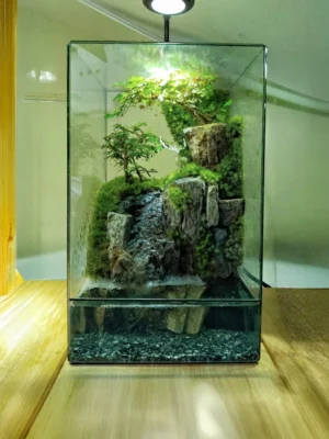 Bể Bán Cạn Thác Đá 02