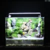 Bể Bán Cạn Tịnh Tâm 01 3 Bể Bán Cạn Tịnh Tâm 01