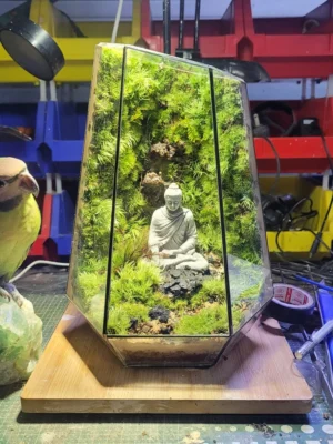 Bể Terrarium Hương Núi Tịnh 01