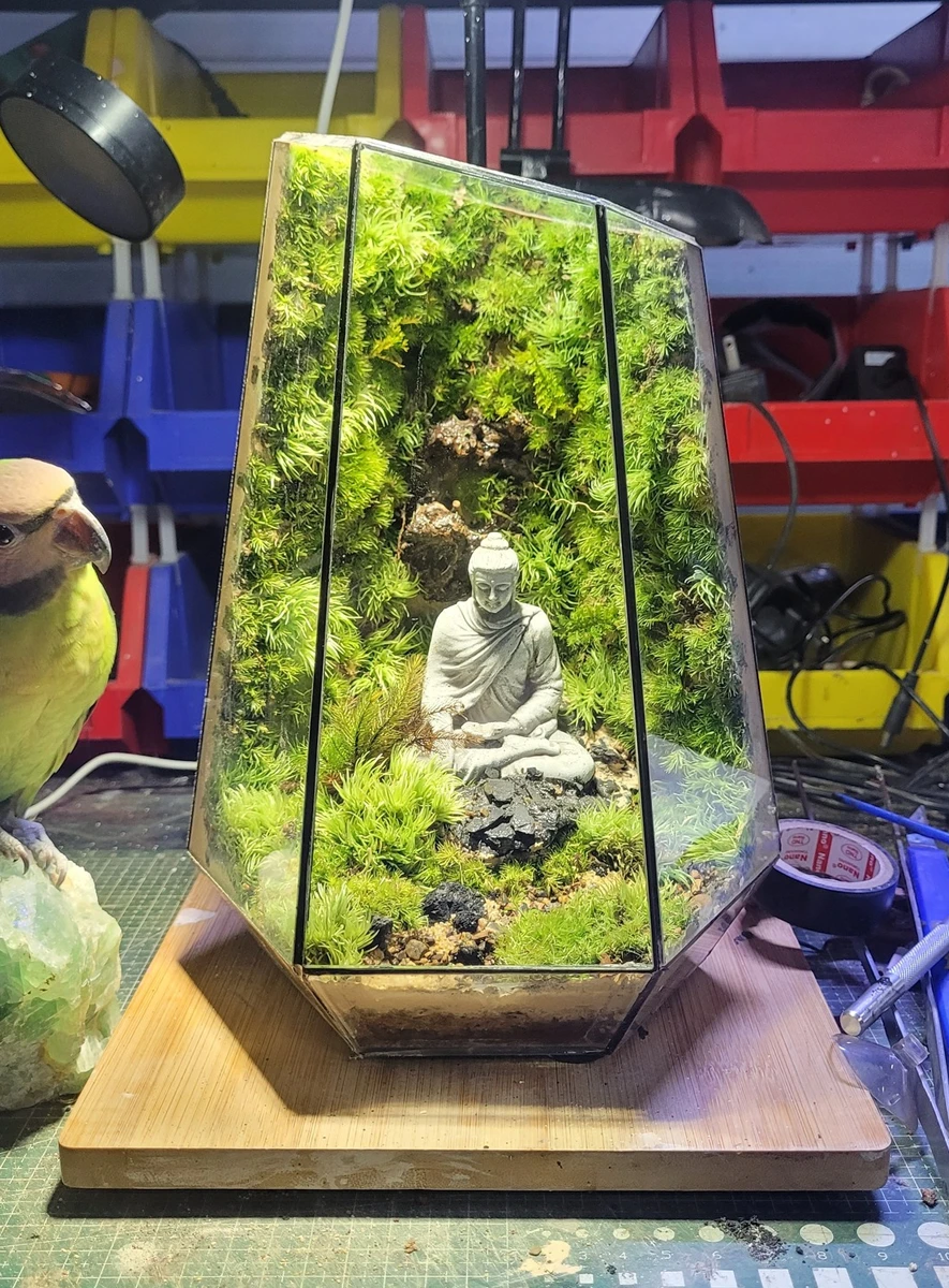 Bể Terrarium Hương Núi Tịnh 01