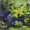Bể Terrarium Hương Núi Tịnh 02