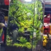 Bể Terrarium Hương Núi Tịnh 02