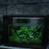 Bể Terrarium Huơu Núi Đá 01