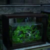 Bể Terrarium Huơu Núi Đá 01