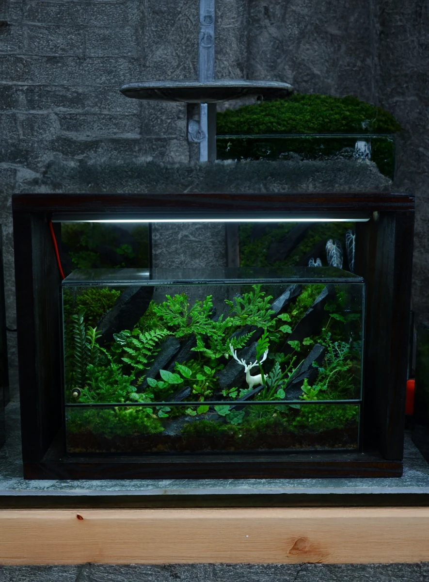 Bể Terrarium Huơu Núi Đá 01