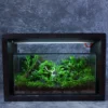 Bể Terrarium Huơu Núi Đá 02