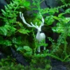 Bể Terrarium Huơu Núi Đá 02 2 Bể Terrarium Huơu Núi Đá 02