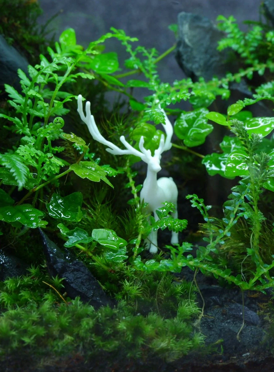 be-terrarium-huou-nui-da-mau-02-2 Bể Terrarium Huơu Núi Đá 02
