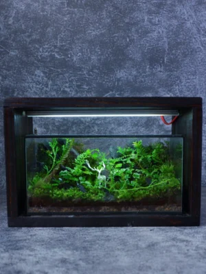 Bể Terrarium Huơu Núi Đá 02