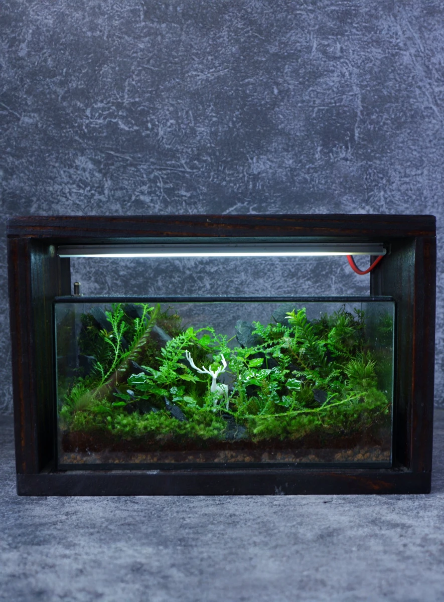 Bể Terrarium Huơu Núi Đá 02