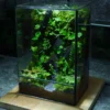Bể Terrarium Sơn Mạch 01 1 Bể Terrarium Sơn Mạch 01