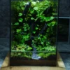 Bể Terrarium Sơn Mạch 01 4 Bể Terrarium Sơn Mạch 01