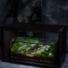 Bể Terrarium Sơn Viên 01 1 Bể Terrarium Sơn Viên 01