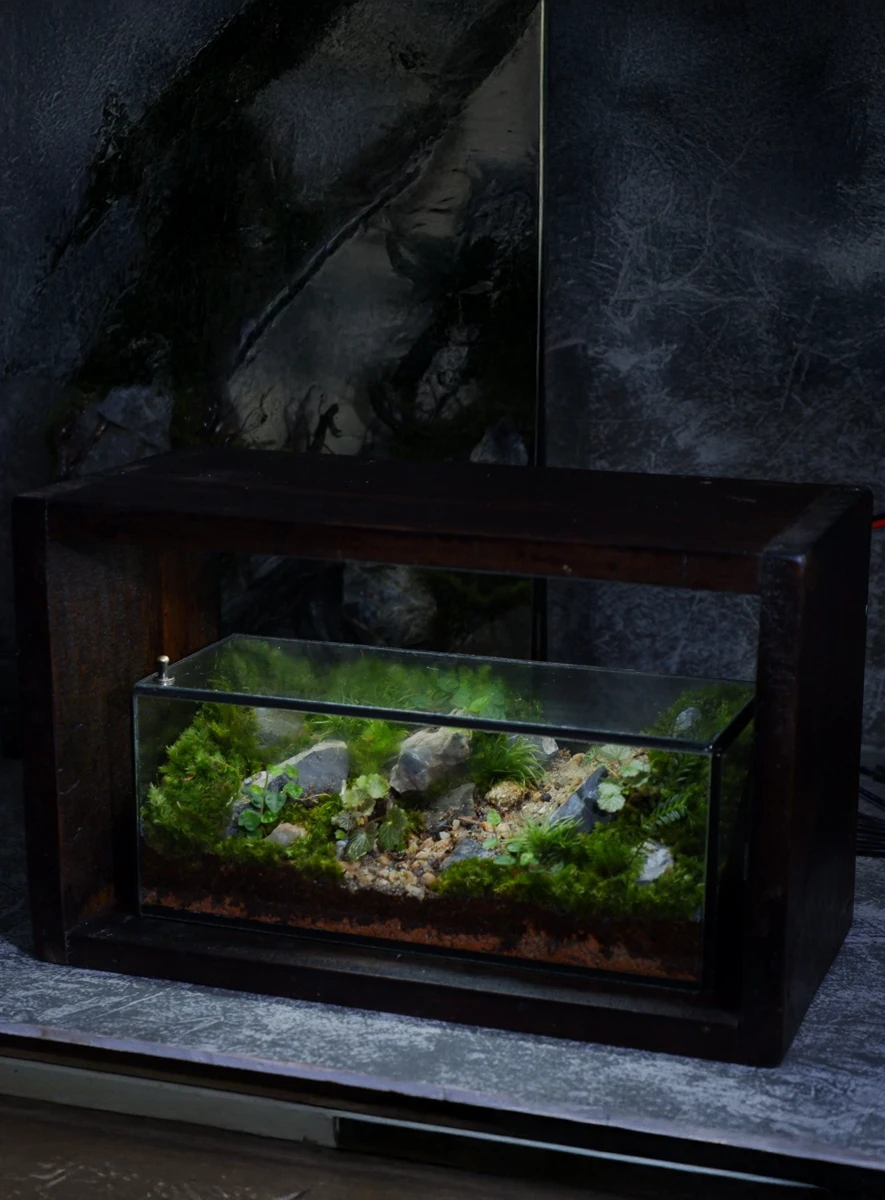 be-terrarium-son-vien-mau-01-1 Bể Terrarium Sơn Viên 01