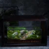 Bể Terrarium Sơn Viên 01