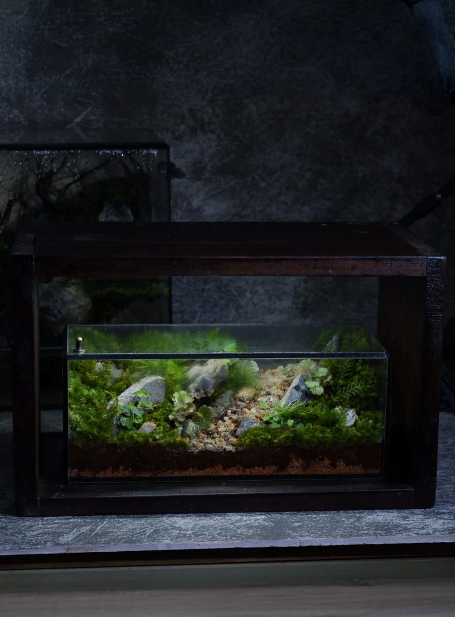 Bể Terrarium Sơn Viên 01
