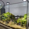 Bể Bán Cạn Cầu Long Biên