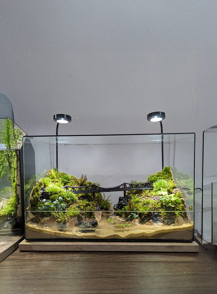 Bể Bán Cạn Cầu Long Biên