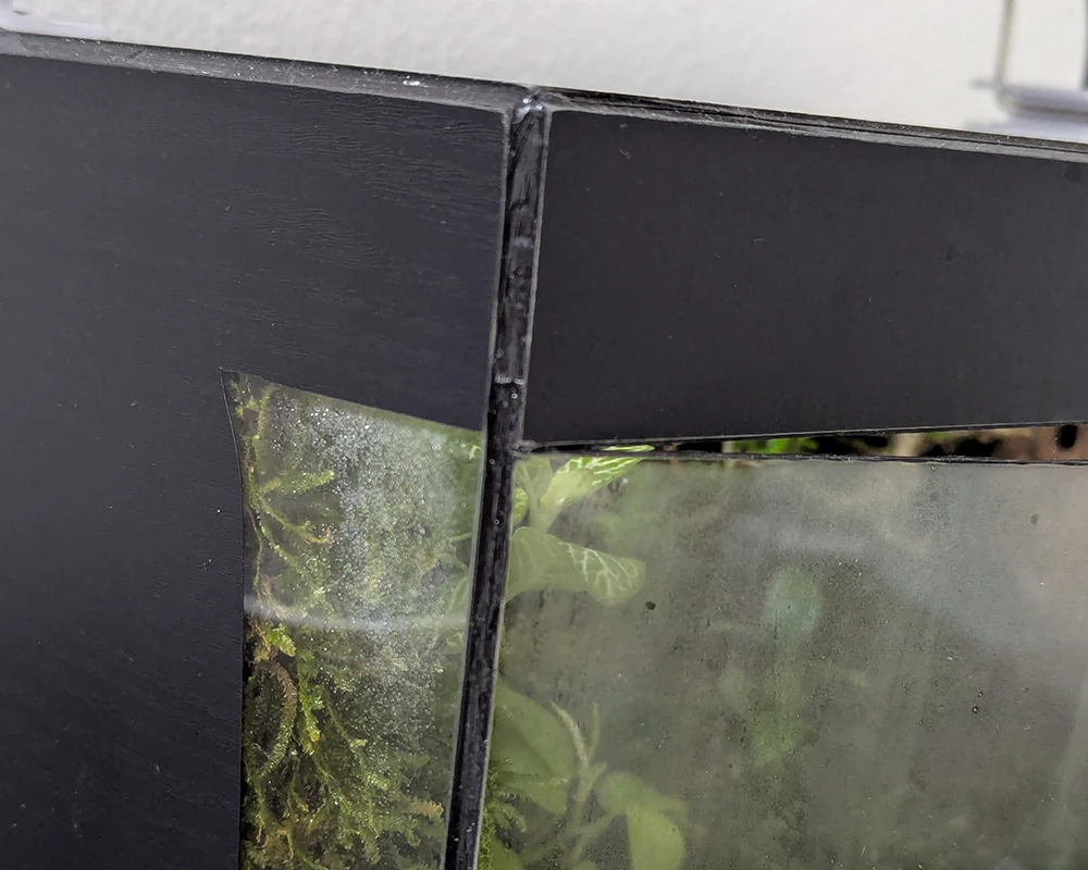 Cách Chăm Sóc Bể Terrarium với 5 Lưu Ý 4 Cách chăm sóc bể terrarium
