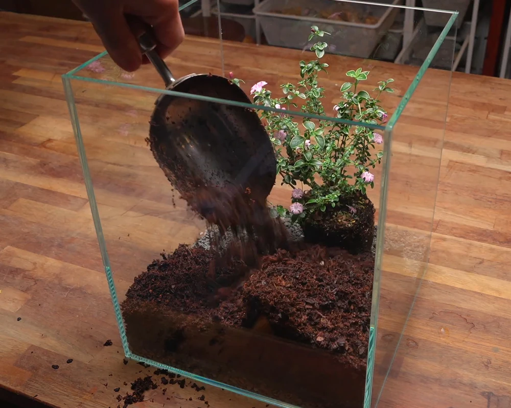 Cách làm terrarium
