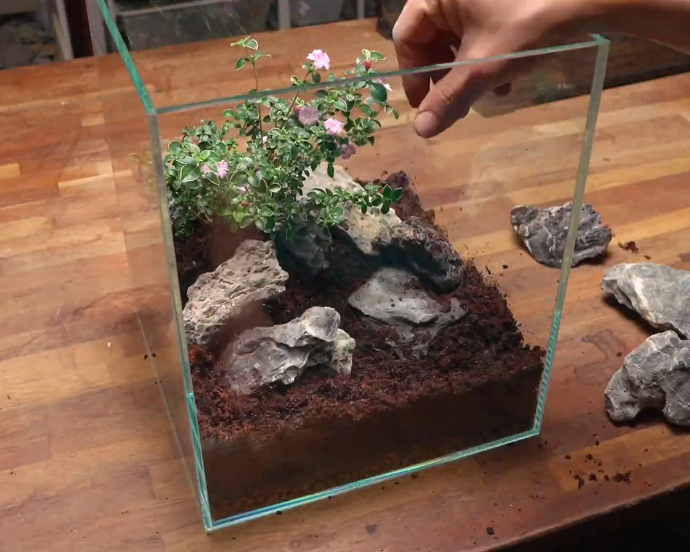 Cách làm terrarium