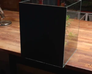 Hướng dẫn làm terrarium