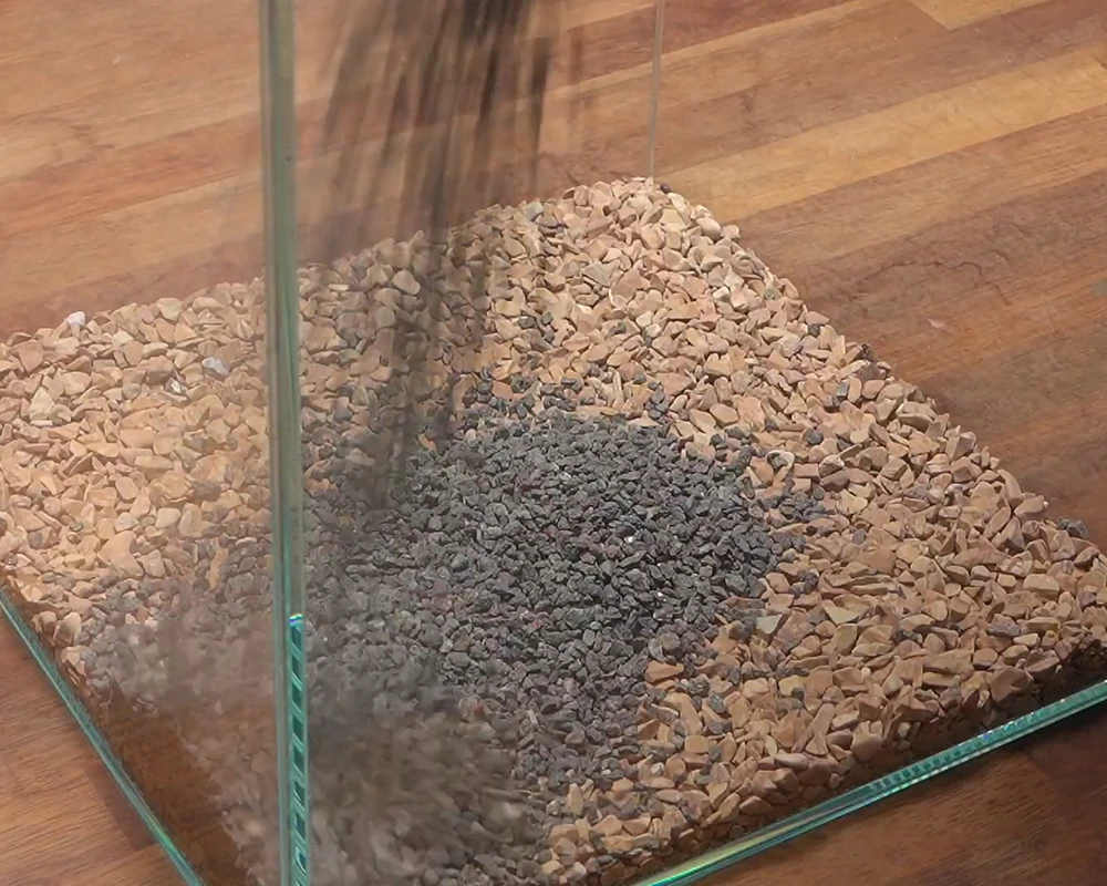 Cách làm terrarium