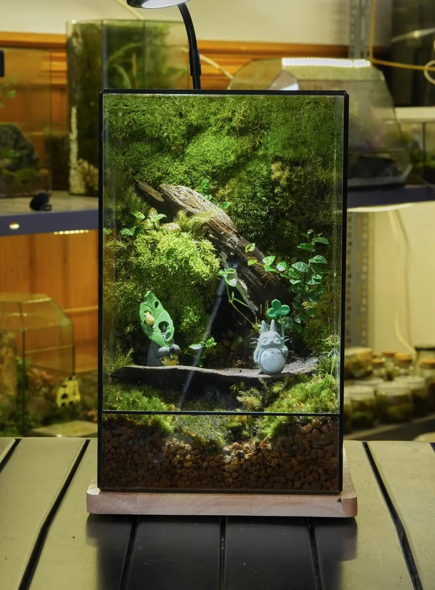Bể Terrarium Custom