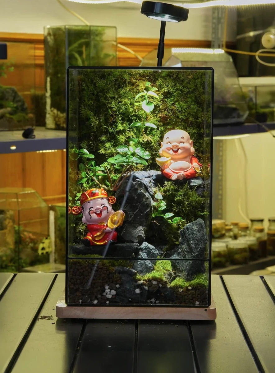 Bể Terrarium Custom