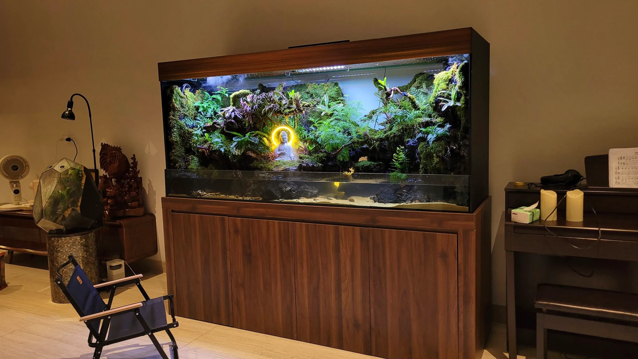 Bể Terrarium Custom