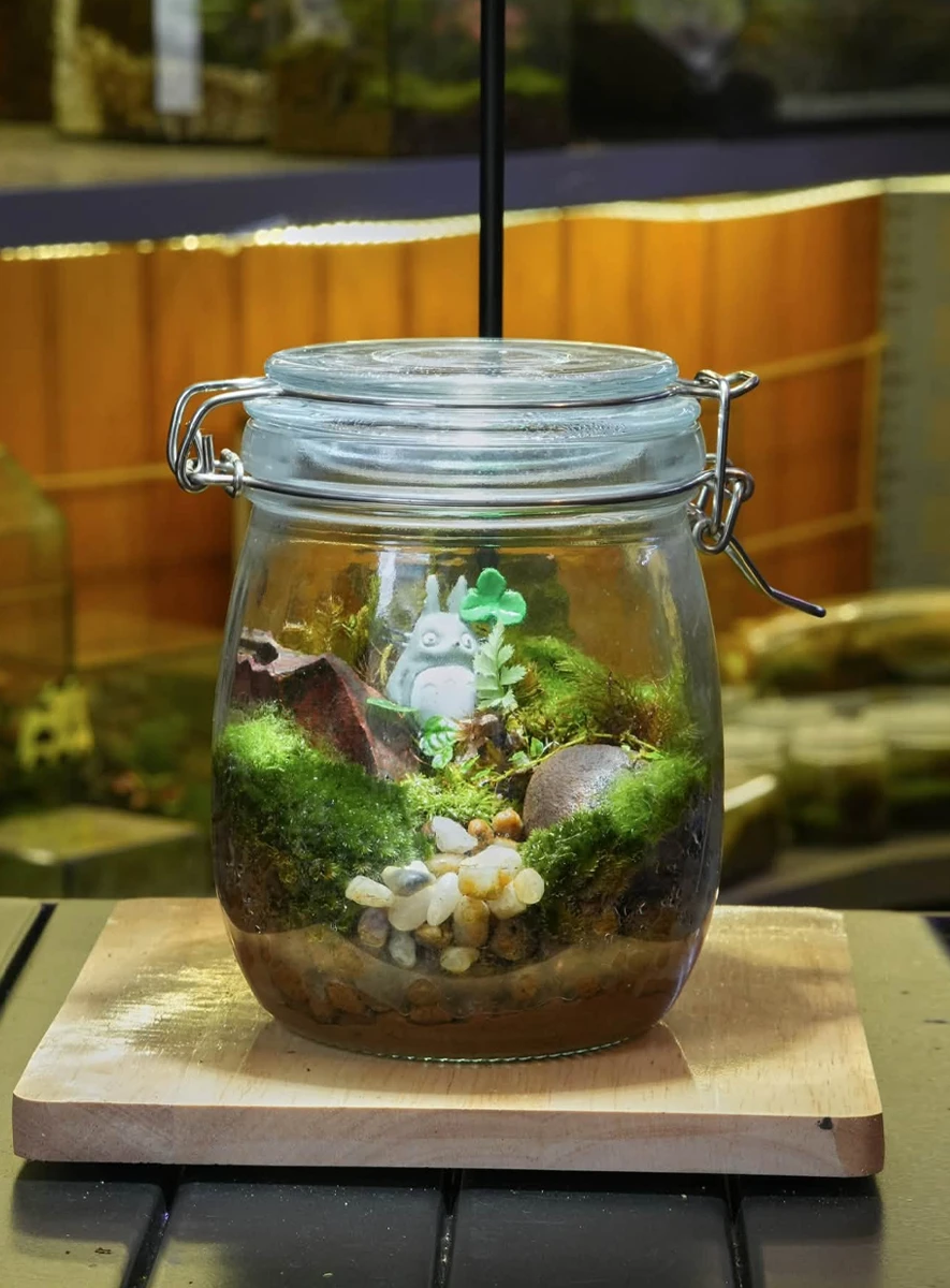 Hũ terrarium mini